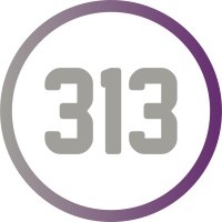 313 Financial logo - Similar company to Numbering