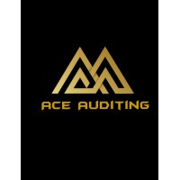 Ace Auditing logo - Similar company to Ace Audit