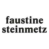 Faustine Steinmetz logo - Similar company to Moiré