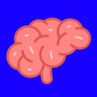 Brainstorm Academy. logo - Similar company to Brainstorm.Academy