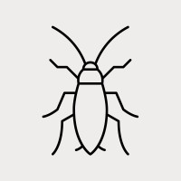 Roach Haus Apparel