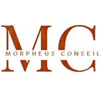 Morpheus Conseil logo - Similar company to Va Éditions (Valeurs Ajoutées Editions)