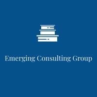 Emerging Consulting Group logo - Similar company to Sixth Digit