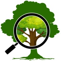 ProCanopée logo - Similar company to Héritage Saint-Bernard
