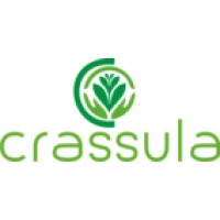 Crassula Group logo - Similar company to Iseindore
