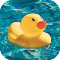 Tint logo - Similar company to Abc Soft