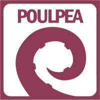 Poulpea logo - Similar company to Poulpemedia