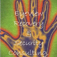 Eyeview Recovery and Security Consulting, LLC logo - Similar company to Zombie Combat Dive Team, Llc