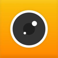 LiveIn logo - Similar company to Answer.Ai