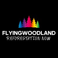 Flyingwoodland logo - Similar company to The Kenya Parliamentary Caucus On Sdgs And Business
