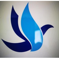 Bluubird logo - Similar company to Bluubird