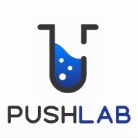 PushLab logo - Similar company to Brainforge It: Software & Consulting