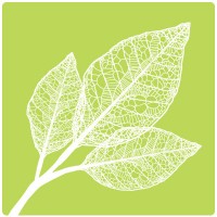 MyBabbo logo - Similar company to Knowledge Integration, University of Waterloo