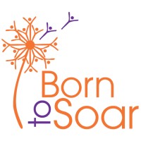 Born to Soar - Gifted and Talented Education logo - Similar company to St. Peter'S Primary School