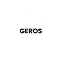 GEROS logo - Similar company to Incoach Oy
