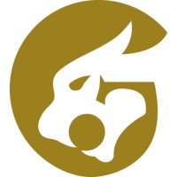 Jagware Ltd logo - Similar company to Jaguar Software