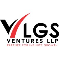 VLGS Ventures logo - Similar company to Govcon Proposals