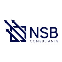 NSB Consultants logo - Similar company to Nsb Consulting