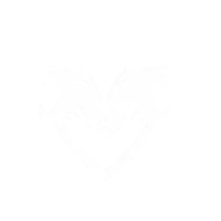 Tribus Dynamics logo - Similar company to Tribus Group