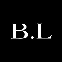 Brian Lowe Creative logo - Similar company to Enter My Dreams Llc