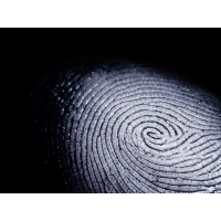 FUSION 85 LIMITED - 'Integrity - Transparency - Professionalism' logo - Similar company to Projecki Studios