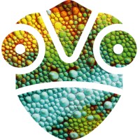 S.O.I. - Strategic Opportunity Investment AG logo - Similar company to Sub360.Ch