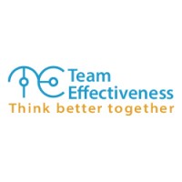 Team Effectiveness logo - Similar company to Effectiveness Institute