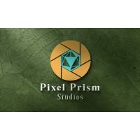 Pixel Prism Studios logo - Similar company to Your Functional Cmo