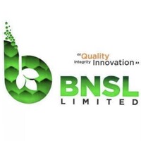 BNSL Limited logo - Similar company to Admitter Overseas