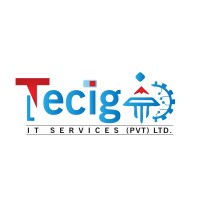 Teciga IT Services Pvt Ltd. logo - Similar company to Cloudwave It Services