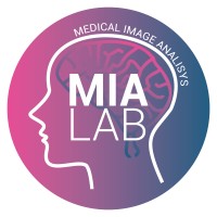 MIA LAB UPV - Medical Image Analysis Lab - ITACA logo - Similar company to Lableni