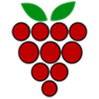 Raspberry South logo - Similar company to Avensys Ltd