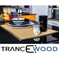 Trancewood logo - Similar company to Tembo Wild