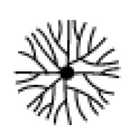 Quadrazais logo - Similar company to Playback Cph