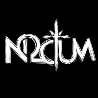 Noctum Games logo - Similar company to Sigor