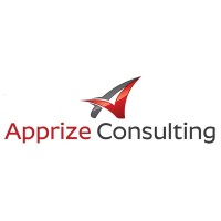 Apprize Consulting logo - Similar company to Proexel Media