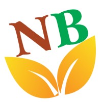 Nubest Việt Nam logo - Similar company to Nummies