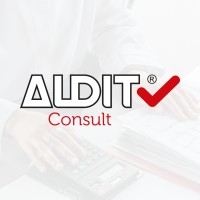 AUDIT Consult logo - Similar company to Audit