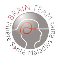 Filière de santé maladies rares BRAIN-TEAM logo - Similar company to Brain Team Group
