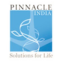 Pinnacle India Financial Solutions