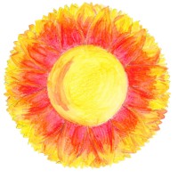 KUDOS logo - Similar company to Lime Oasis