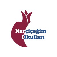 Narcicegim logo - Similar company to Ielev Gymnasium