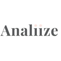 Analiize logo - Similar company to Press Play