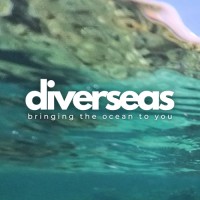 Diverseas logo - Similar company to 30X30 Indonesia