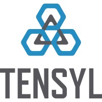 Tensyl Security logo - Similar company to Videastream