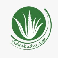 Fidanbudur logo - Similar company to Alla Pulla