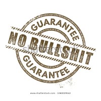 NO BULLSHIT COMMUNICATIONS logo - Similar company to Instituto Ritter