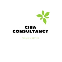 Ciba Consultancy logo - Similar company to Ibpd