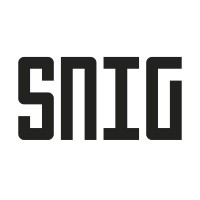 SNIG logo - Similar company to Sprout Consulting