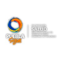 Health Services Of Puebla State